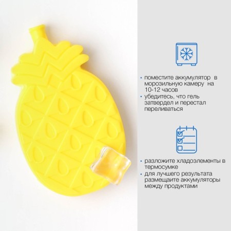 Cold battery "Master K. Jackfrut", 60 ml, 11 x 6.6 cm, yellow, set 5 pcs-3