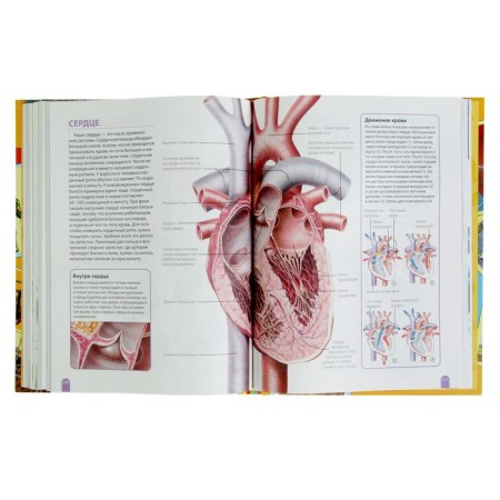 The student’s big encyclopedia "How does it work?"-5