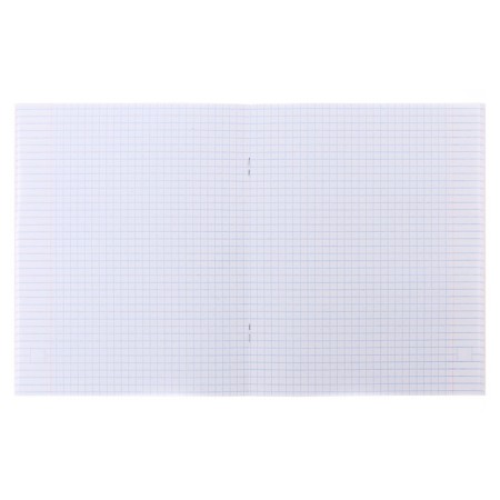 Notebook of 48 sheets in Calligrata Cactus cage, cover covering cardboard, offset unit, mix-1