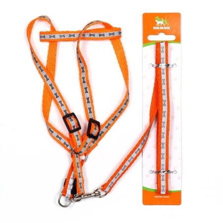 The reflective “bones” set, a collar of 120 x 1 cm, Osh 24-40 cm, fire 24-40 cm orange-7