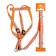 The reflective “bones” set, a collar of 120 x 1 cm, Osh 24-40 cm, fire 24-40 cm orange