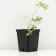Occupational shelter, P9 pot, 1 pc, Spring 2024