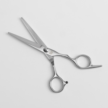 Hairdressers with emphasis, blade - 6 cm, silver color-2