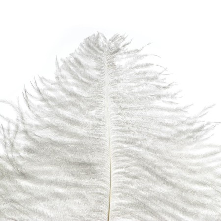 Feather for decor, length: from 45 to 60 cm, white color-5