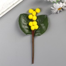 Decor for creativity 