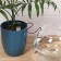 A set for drip irrigation, for home plants, a set of 2 pcs., Hose 1 m