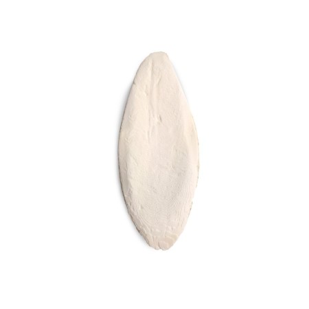 Rio Sepia bone, size m, 1pc 10-12 cm, white-1