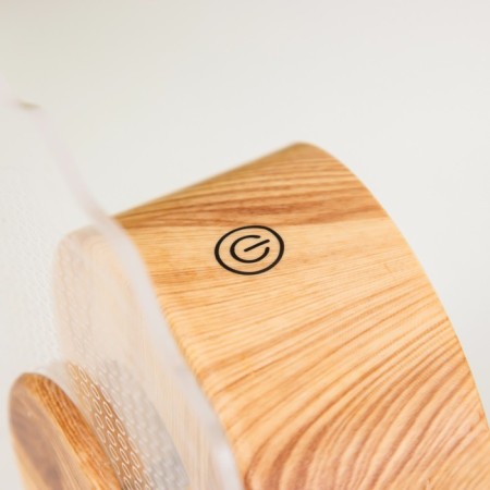 The touch of the touch "Flower" LED is spinning 6W USB 15x4x16 cm Risalux-6