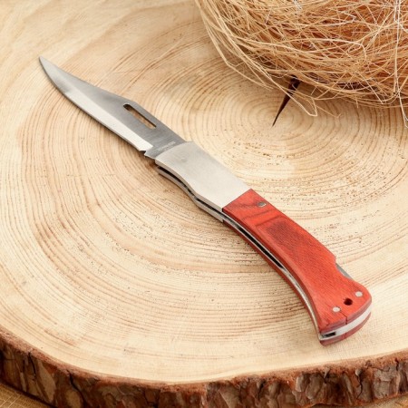 Folding Knock "Armagedon" 24.7cm, blade 107mm/1mm, handle of wood-1