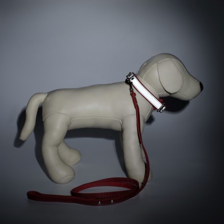Set of collar (34-45x2 cm) reflective and leash (130x1 cm), red-2