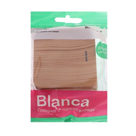 See Blanca switch, 10 A, 1 key, IP20, overhead, backlight, ash, Blnva101115-1