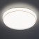 SPB-6-80 -RC SOLAR RGBD Lamp Dynamic 80W