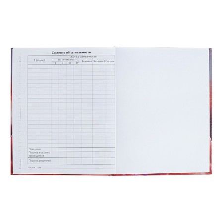 Diary for grades 5-11 "kittens in the clouds", hard cover, holography, 48 sheets-8