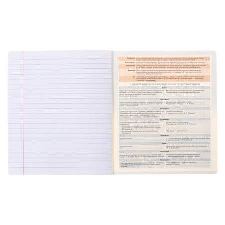 Subject notebook, 36 sheets, ruler, literature, Erichkrause "Timeline", coated cardboard, Bloc Offset 100%, information block-4