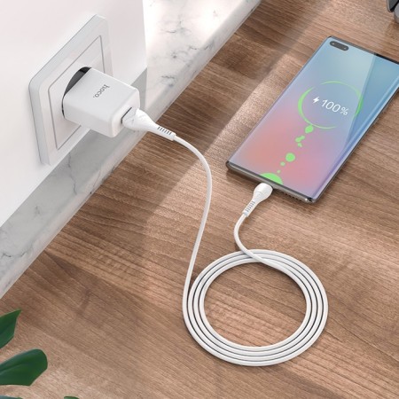 Nice charger Hoco N9, USB - 2.1 A, MicroUSB 1 m cable, white-9