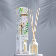 Diffusor for home, aromatic perfume, flavor with sticks, Breesal. Aroma sphere, 40 ml, delicate kiss