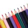 Pencils 24 Calligrata colors, sharpened, trihedral, plastic, cardboard packaging, euro -hungering