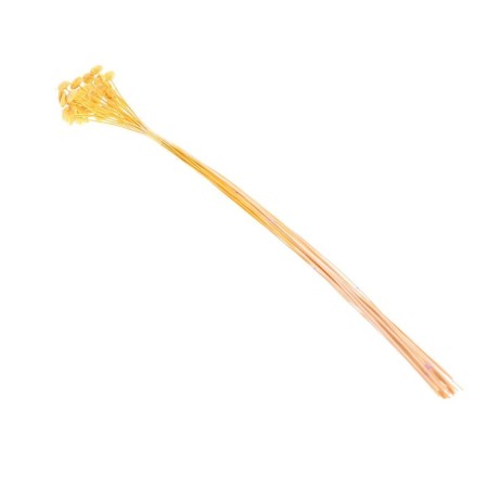 Sukhotzet "Batao" set 20 pcs., Yellow color-3