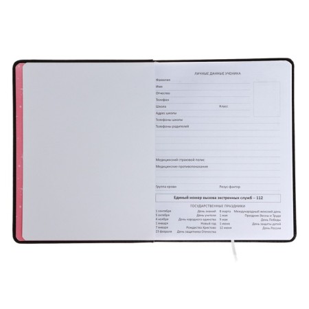 Universal diary for grade 1-11 CAT, hard cover, artificial leather, foam rubber, liescse, 80 g/m2-3