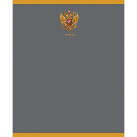 Notebook of 48 sheets in the line on the scraper, state symbol, coated cardboard, mix-6