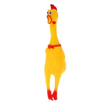 Chicken, screaming, in the grid