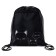 A bag for shoes with a pocket of 420 x 340 mm, calligrata MSO-7C, (soft polyester, density 210D), Cats)
