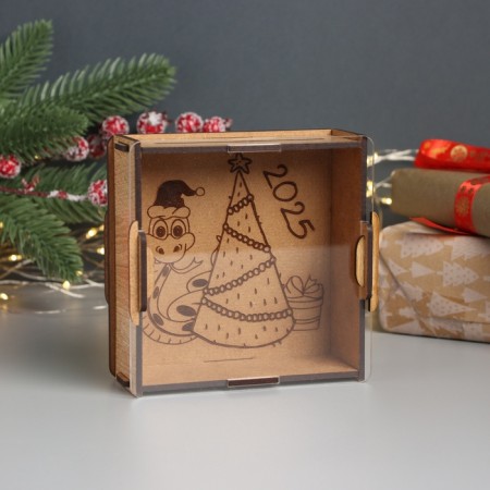 New Year's piggy bank with acrylic "Snake. Holiday" 12x12x4 cm