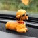 Dog on a car panel shocking his head, SP15