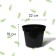 Pot for seedlings, 5 l, d = 22 cm, h = 18 cm, black, greengo