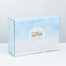 Box - Penal, Gift packaging, 