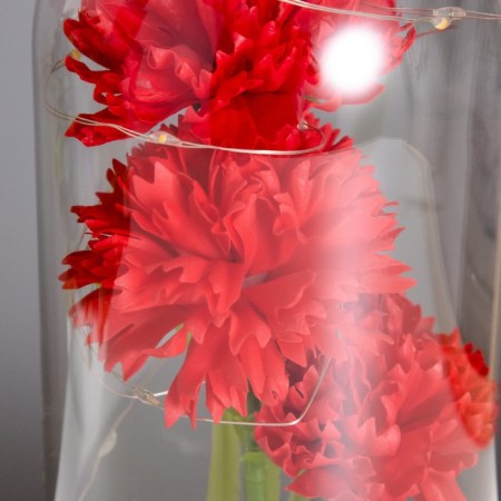 Night of "Cloves" LED red 3HAAA 10.5x10.5x22cm-2