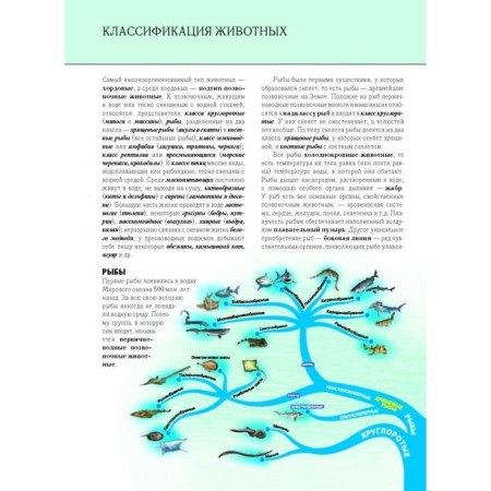 Undersea world. Complete encyclopedia. Schoolboy Yu.K.-14