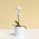 Flower pot, d = 10 cm, 0.5 l, plastic, white