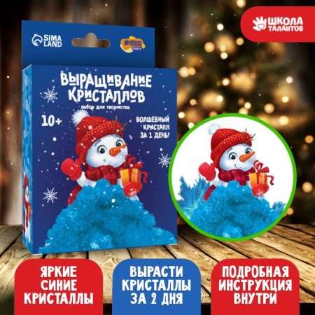 New Year's set for creativity. Growing crystals “New Year! Snowman ", Blue color
