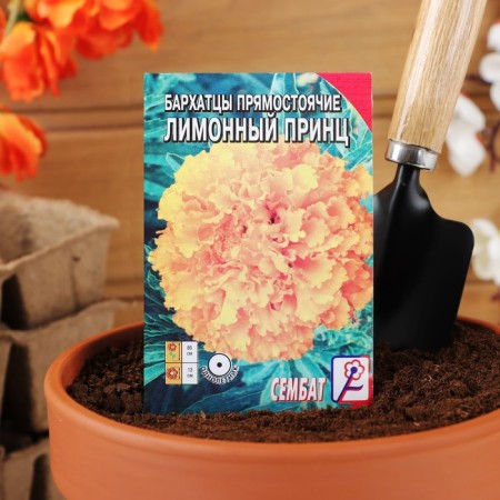 Flower seeds marigolds are erect "lemon prince", 0.2 g-2