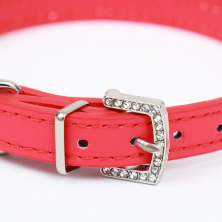 A collar with rows of 4 rows and rhinestones on a buckle, 38 x 1.5 cm, Osh 26-33, red-2