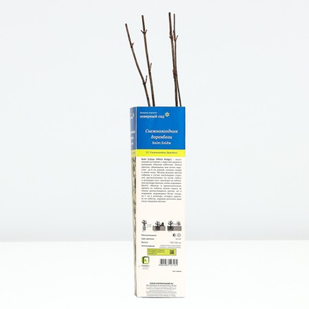 Dorenbozi Snowman "White Hage", tube, 1 pc, spring 2025-2