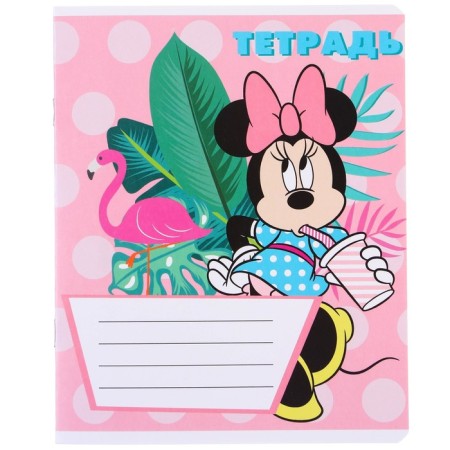A set of notebooks 10 pieces, 12 sheets, in a cage, cover coated cardboard, Minnie Mouse-9