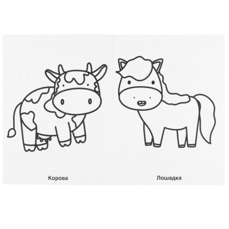 Pets. Coloring for kindergarten. 8 p.-2