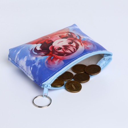 Monetnik's wallet with a zipper, color mix-4