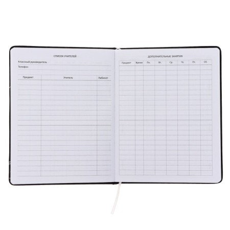 Universal diary for grade 1-11 Shark Area, hard cover, artificial leather, foam rubber, lies, 80 g/m2-3