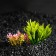 Aquarium artificial aquarium plant on a stone stand, 14 x 11 x 7 cm