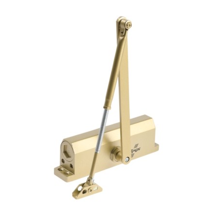 D150GP tundra door closer, up to 150 kg, gold color-1