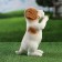Garden figure "A begging dog" 10x16x22cm