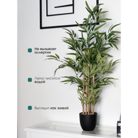Bamboo in a plastic pot, 135 × 135 × 920 mm, green / black / beige color-4