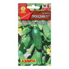 Seeds of cucumber 