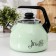 A kettle with a whistle Maestro, 3 l, a fixed handle, induction, the color is light salut