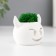 Kashpo concrete "devil" 6.5x6x5.5 cm white with moss (moss green. Stabilizir)