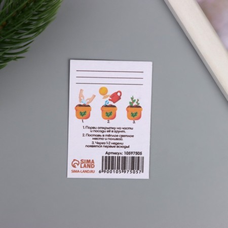 A postcard with the seeds "grow itself" "glory and recognition!" 5*7cm-2