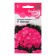 Seeds of Pelargonium "Knight Rose", F1, 4 pcs.